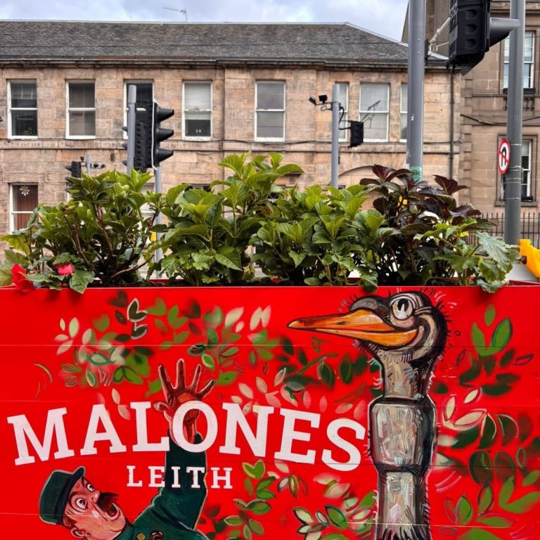 Vibrant Guinness-themed planters in the outdoor area at Malones Leith